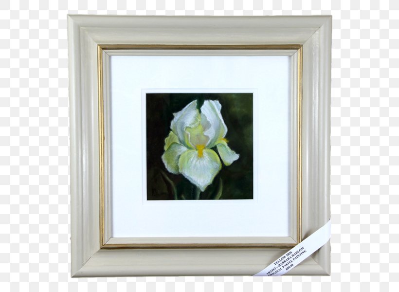 Rose Family Still Life Photography Picture Frames, PNG, 600x600px, Rose Family, Family, Flower, Flowering Plant, Photography Download Free