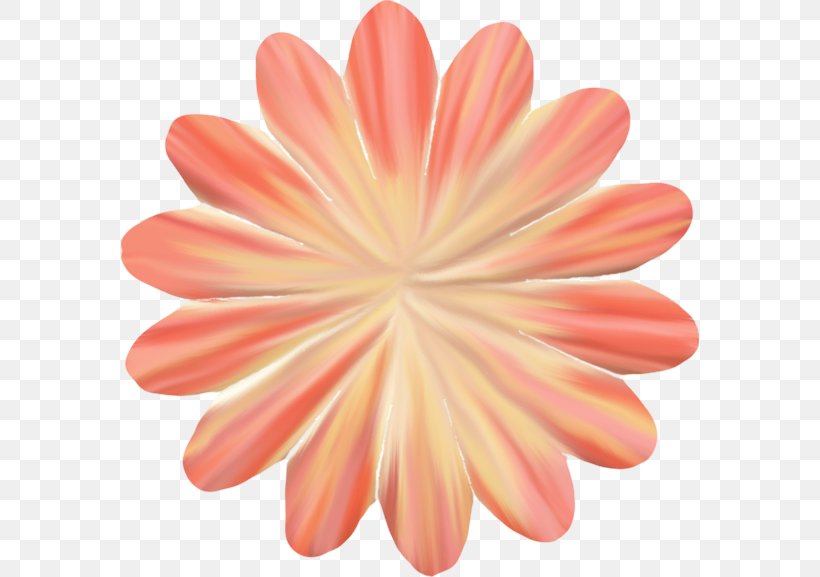 Royalty-free Clip Art, PNG, 578x577px, Royaltyfree, Daisy Family, Flower, Leaf, Orange Download Free