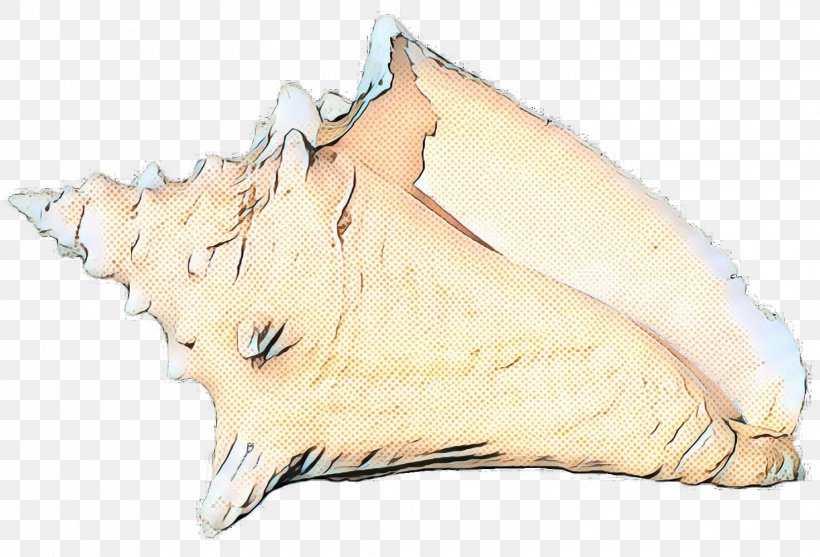 Shankha Conch Conch Jaw, PNG, 1471x1000px, Pop Art, Conch, Jaw, Retro, Shankha Download Free