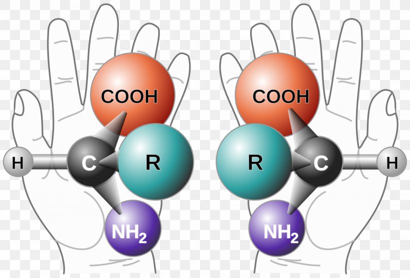 Chirality Amino Acid Handedness Molecule Mirror Image, PNG, 1920x1303px, Chirality, Acid, Amino Acid, Chemistry, Communication Download Free