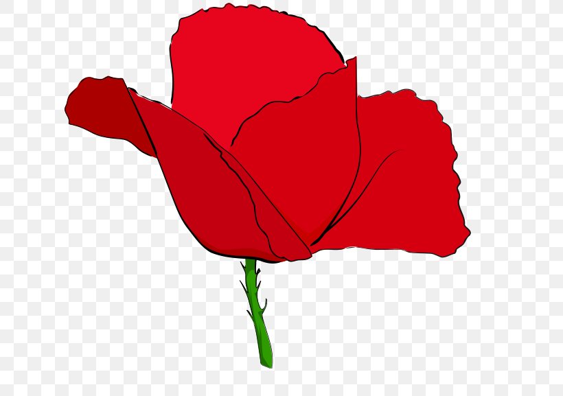 Remembrance Poppy Common Poppy Clip Art, PNG, 640x577px, Remembrance Poppy, Anzac Day, Armistice Day, Common Poppy, Drawing Download Free