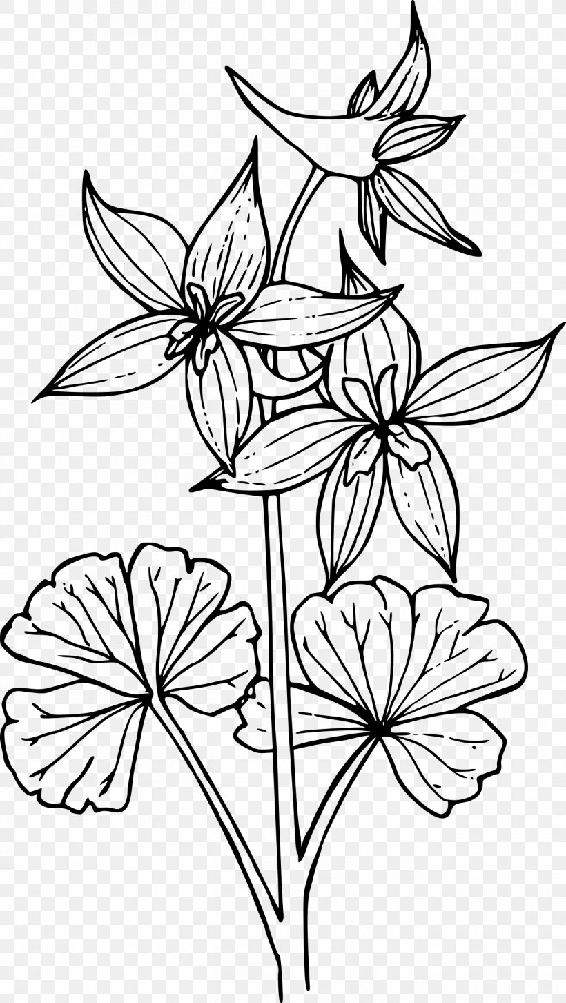 Black And White Flower, PNG, 1354x2400px, Drawing, Black And White, Blackandwhite, Coloring Book, Doodle Download Free