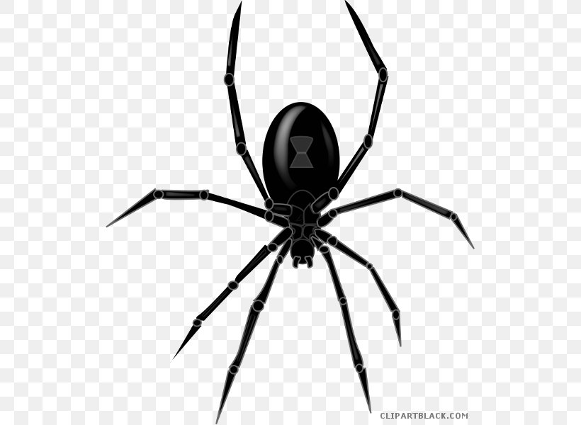 Spider Southern Black Widow Clip Art Image, PNG, 521x600px, Spider, Arachnid, Arthropod, Black And White, Brown Widow Download Free