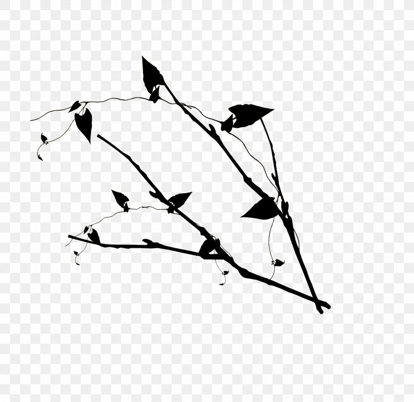Twig Leaf Drawing Clip Art, PNG, 2597x2519px, Twig, Area, Bird, Black, Black And White Download Free