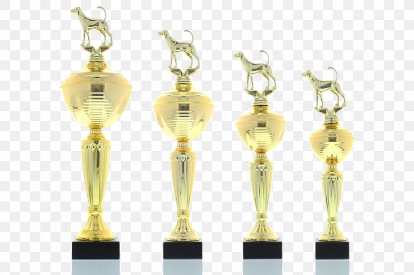 Earring Trophy, PNG, 900x600px, Earring, Award, Brass, Earrings, Jewellery Download Free