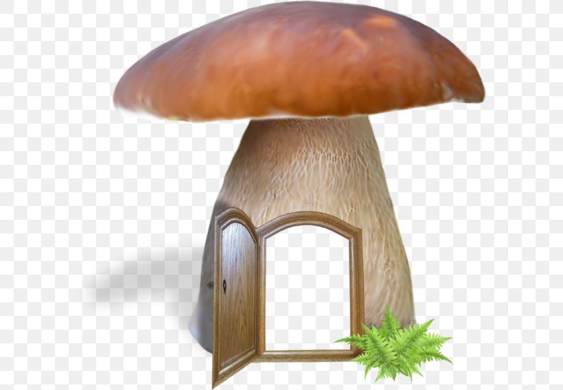 Edible Mushroom Fungus Common Mushroom, PNG, 600x568px, Mushroom, Agaricus, Autumn, Chaga Mushroom, Common Mushroom Download Free