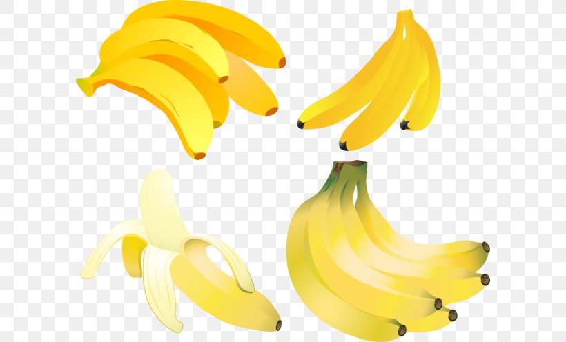 Bananas Food Health, PNG, 600x496px, Banana, Banana Family, Bananas, Cucumber, Drawing Download Free