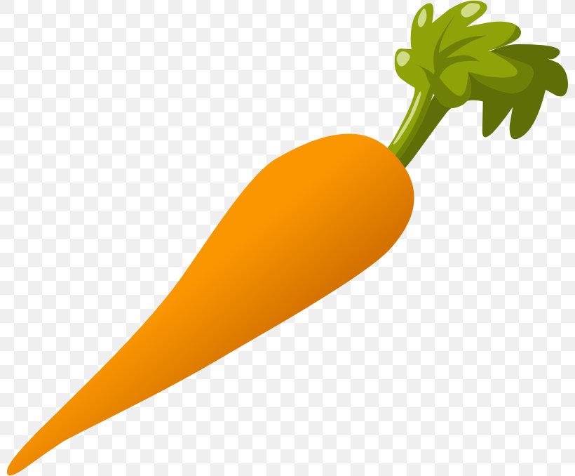 Carrot Salad Clip Art, PNG, 800x678px, Carrot Salad, Arracacia Xanthorrhiza, Baby Carrot, Carrot, Food Download Free