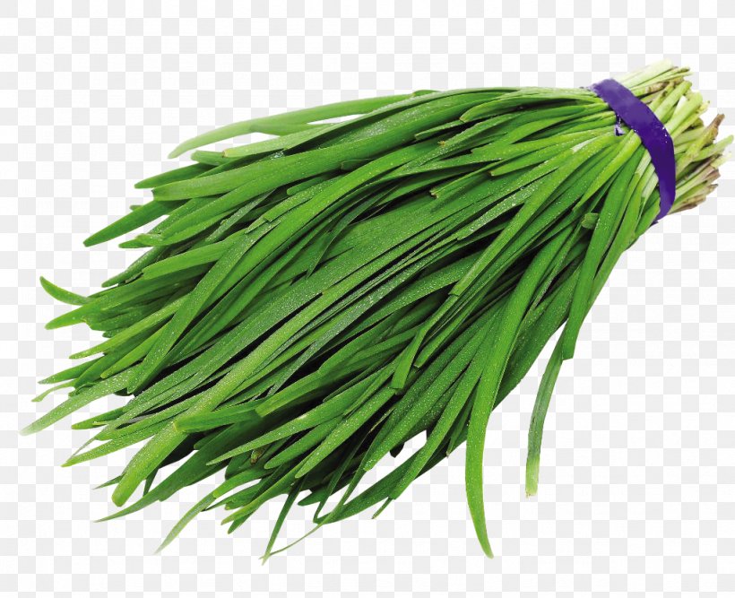 Chinese Cuisine Garlic Chives Vegetable, PNG, 1024x833px, Chinese Cuisine, Allium, Chives, Commodity, Food Download Free