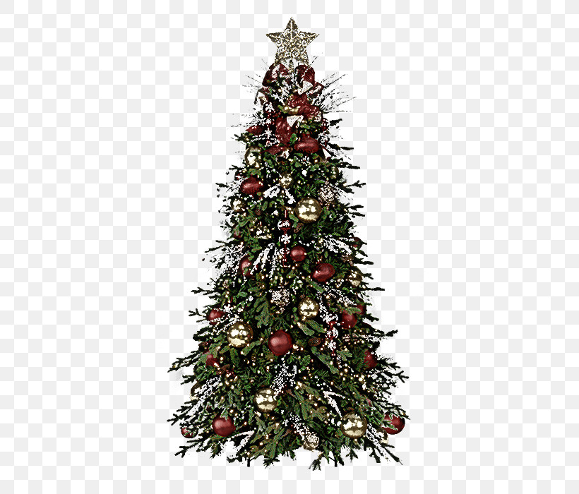 Christmas Tree, PNG, 700x700px, Christmas Tree, American Larch, Balsam Fir, Branch, Christmas Download Free