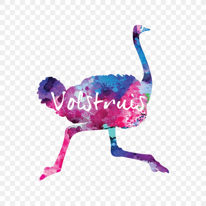 Common Ostrich Volstruis Art & Design Studio BH MAKE UP STUDIO Graphic Design Bloemfontein FASHION Academy, PNG, 1418x1418px, Common Ostrich, Beak, Bird, Bloemfontein, Brochure Download Free