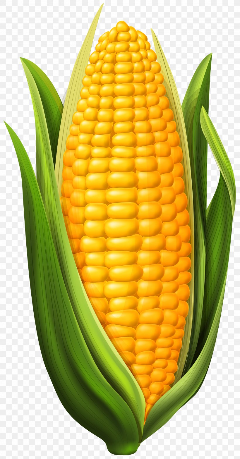 Corn On The Cob Maize Clip Art, PNG, 2613x5000px, Candy Corn, Commodity, Corn Kernels, Corn On The Cob, Drawing Download Free