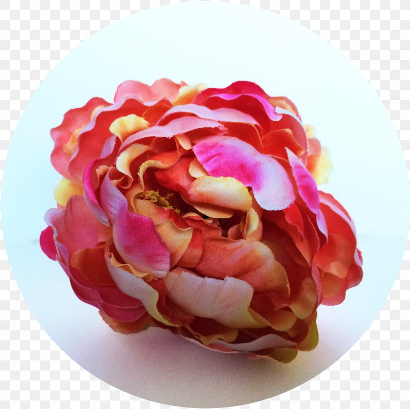 Garden Roses Cut Flowers Peony Petal, PNG, 2456x2448px, Garden Roses, Com, Cut Flowers, Email, Facebook Download Free