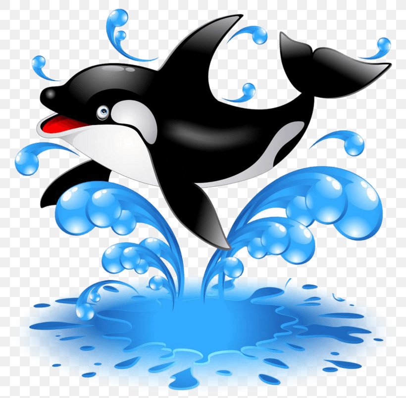 Killer Whale Stock Photography Illustration Whales Image, PNG, 804x804px, Killer Whale, Beak, Bird, Cetaceans, Dolphin Download Free