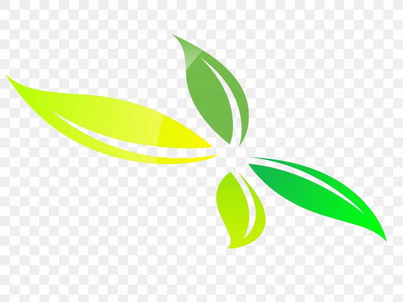 Leaf Green Plant Stem Line Clip Art, PNG, 4600x3450px, Leaf, Flora, Grass, Green, Plant Download Free