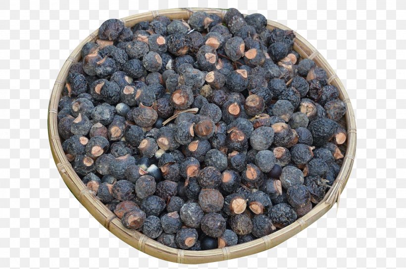 Sapindus Saponaria Seed Fallopia Japonica Tree Blueberry, PNG, 2464x1632px, Sapindus Saponaria, Auglis, Bamboo, Berry, Bilberry Download Free