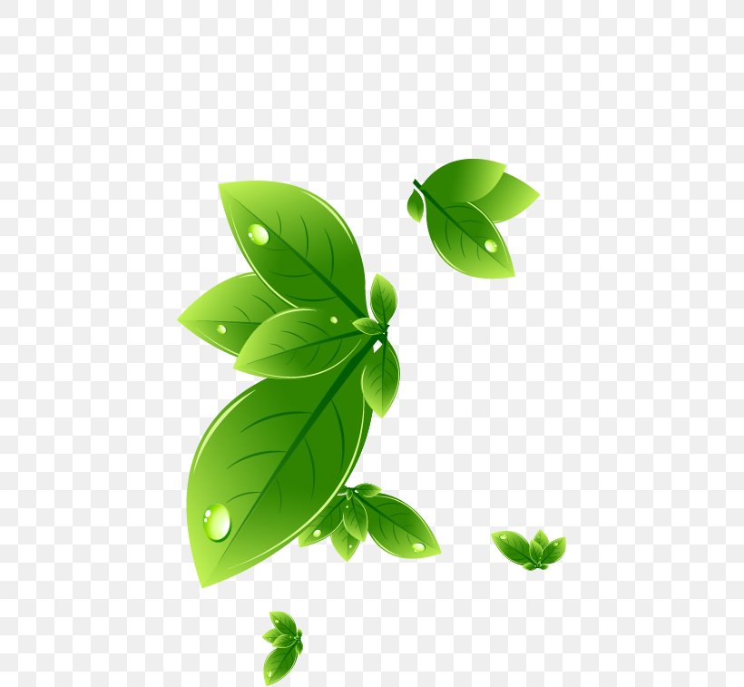 Leaf Swag, PNG, 429x757px, Leaf, Creativity, Grass, Green, Logo Download Free