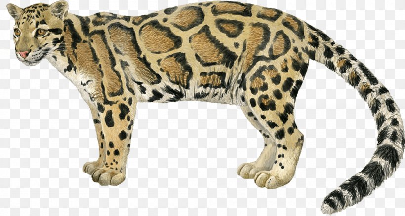 Leopard Jaguar Cheetah Ocelot Wildcat, PNG, 1000x534px, Leopard, Animal, Animal Figure, Big Cats, Carnivoran Download Free