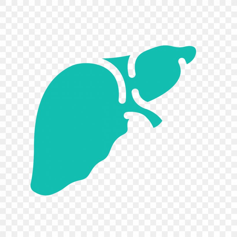 Liver Function Tests Hepatotoxicity Blood Hypercholesterolemia, PNG, 1200x1200px, Liver, Aqua, Blood, Blue, Cardiovascular Disease Download Free