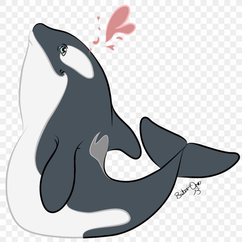 Dolphin Killer Whale Fauna Clip Art, PNG, 870x867px, Dolphin, Black, Black M, Cetacea, Fauna Download Free