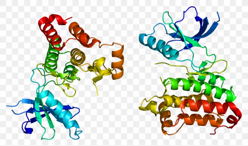 EPH Receptor A2 Ephrin Receptor Tyrosine Kinase Protein, PNG, 1007x593px, Watercolor, Cartoon, Flower, Frame, Heart Download Free