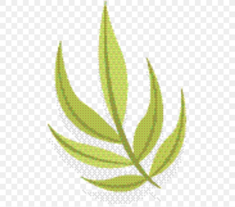 Hemp Leaf, PNG, 502x721px, Leaf, Aloe, Flower, Grass, Hemp Download Free