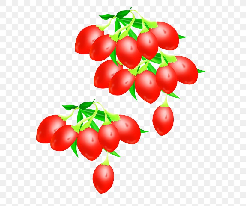 Ningxia Lycium Chinense Goji Lycium Ruthenicum, PNG, 637x688px, Ningxia, Berry, Bush Tomato, Cherry, Cranberry Download Free
