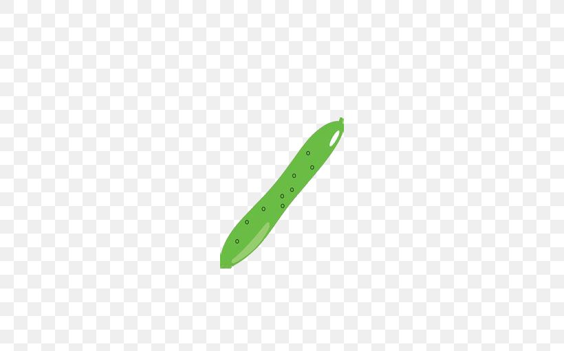 Cucumber Vegetable Pepino, PNG, 588x511px, Cucumber, Cartoon, Color, Drawing, Grass Download Free