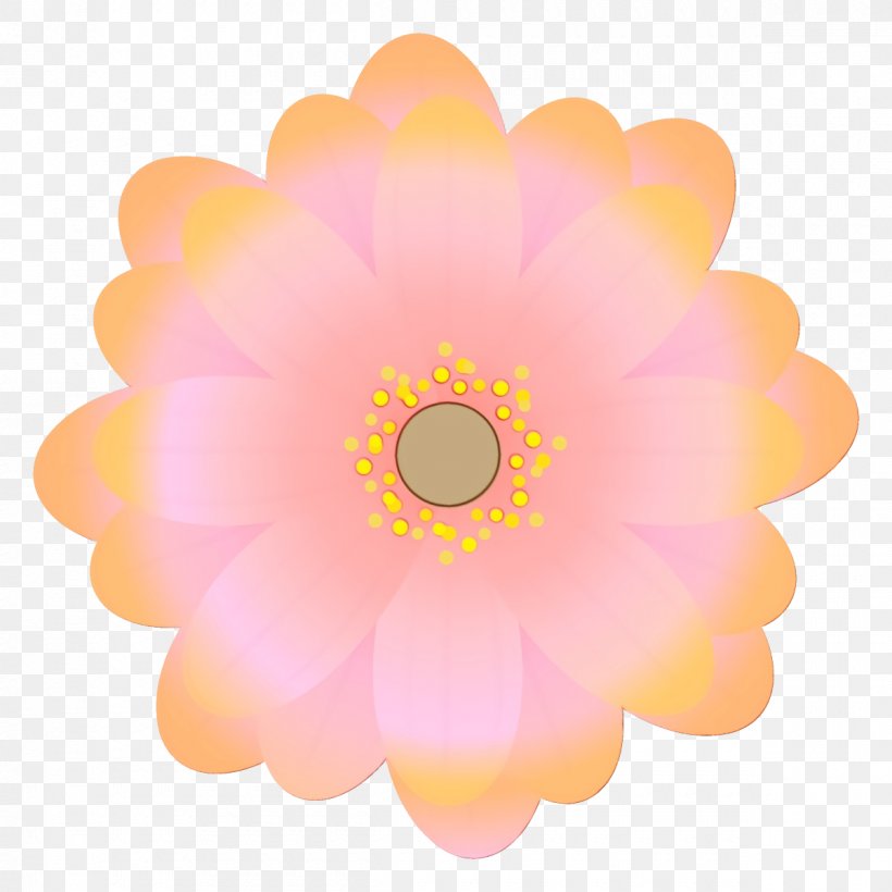 Pink Petal Gerbera Flower Yellow, PNG, 1200x1200px, Watercolor, Daisy Family, Flower, Gerbera, Paint Download Free