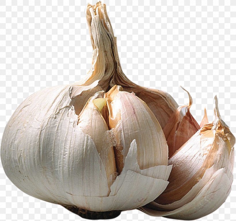 Shallot Garlic Ramsons Allicin Wallpaper, PNG, 1193x1114px, Garlic, Allicin, Alliin, Allium, Clove Download Free
