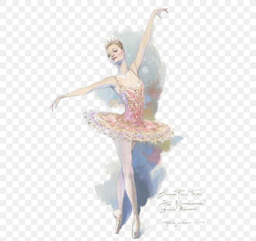 Sugar Plum The Nutcracker Ballet Dancer Drawing, PNG, 532x772px, Watercolor, Cartoon, Flower, Frame, Heart Download Free