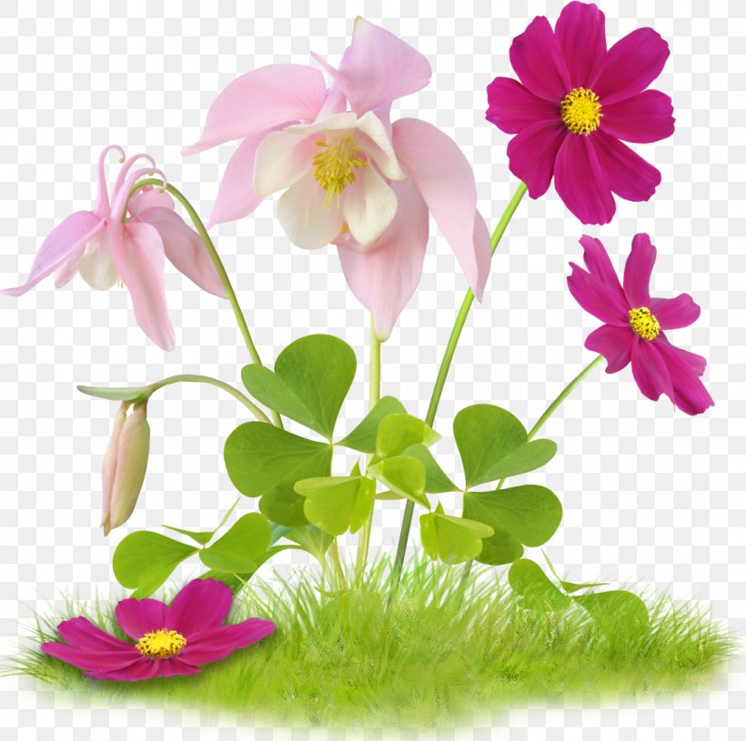 Flower Easter Clip Art, PNG, 1086x1080px, Flower, Annual Plant, Computer Software, Daisy, Daisy Family Download Free