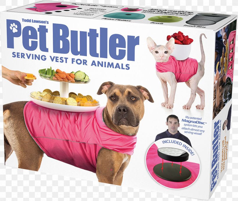 Pet Hamster Dog Gift Gerbil, PNG, 1000x843px, Pet, Animal, Apartment, Box, Business Download Free