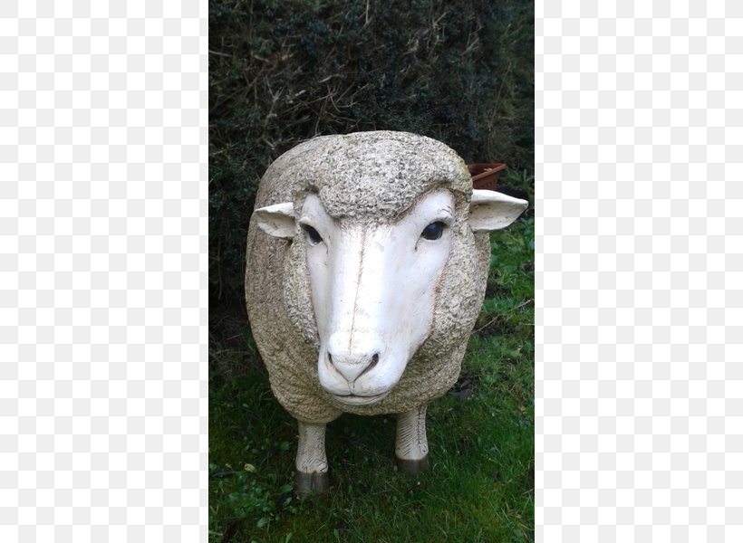 Sheep Statue Snout, PNG, 600x600px, Sheep, Cow Goat Family, Goat Antelope, Grass, Horn Download Free