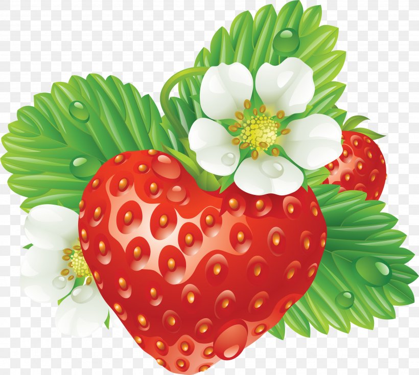 Wild Strawberry Shortcake Flower Virginia Strawberry, PNG, 3494x3124px, Strawberry, Auglis, Berry, Food, Fragaria Download Free