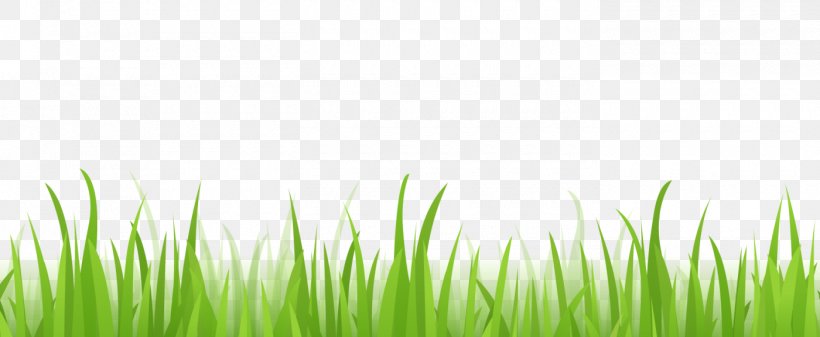 Clip Art Illustration Image Vector Graphics, PNG, 1400x577px, 2018, Wheatgrass, Banner, Chrysopogon Zizanioides, Fodder Download Free