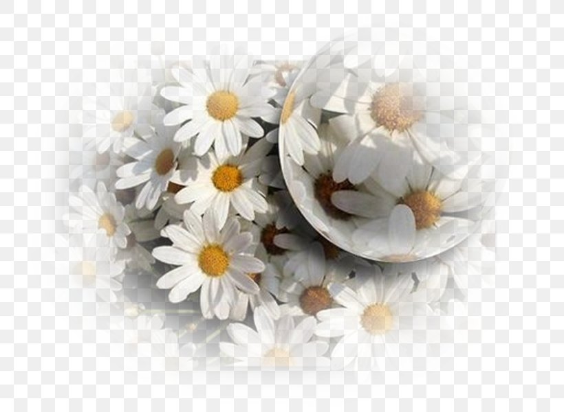 German Chamomile Ornamental Plant Flower Book, PNG, 727x600px, German Chamomile, Animaatio, Animal, Book, Flower Download Free