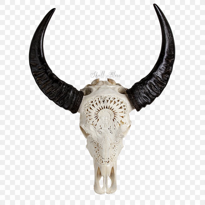 Carabao Cattle Horn Skull Head, PNG, 1000x1000px, Carabao, African Buffalo, American Bison, Bison, Bubalina Download Free