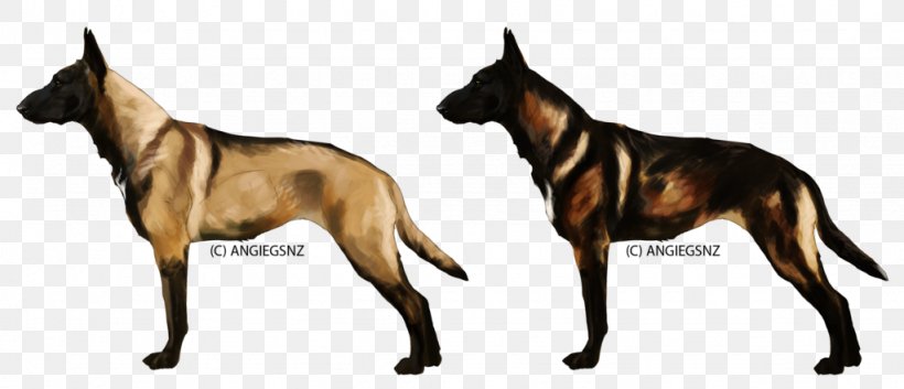 Dog Breed Malinois Dog German Shepherd Puppy Bluetick Coonhound, PNG, 1024x442px, Dog Breed, Belgium, Black And Tan Coonhound, Bluetick Coonhound, Breed Download Free