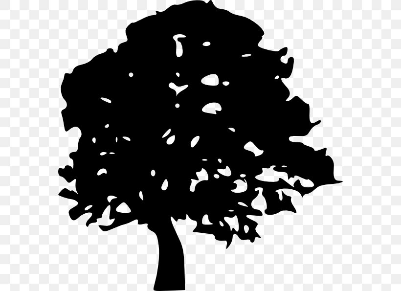 Tree Oak Silhouette Clip Art, PNG, 582x595px, Tree, Black, Black And White, Drawing, Flower Download Free