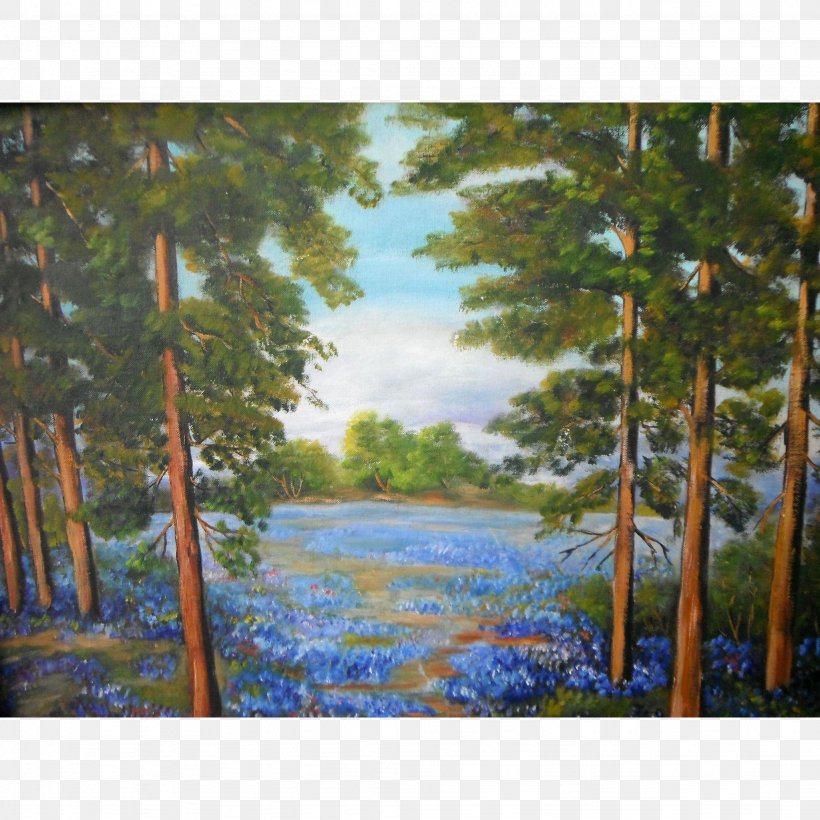 Watercolor Painting Acrylic Paint Texas Hill Country, PNG, 2048x2048px, Painting, Acrylic Paint, Acrylic Resin, Bayou, Forest Download Free