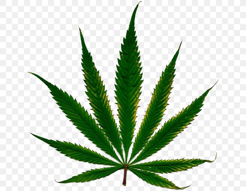 Cannabis Cultivation Leaf Nutrient Hemp, PNG, 640x635px, White Widow, Blue Dream, Cannabis, Cannabis Sativa, Cannabis Shop Download Free
