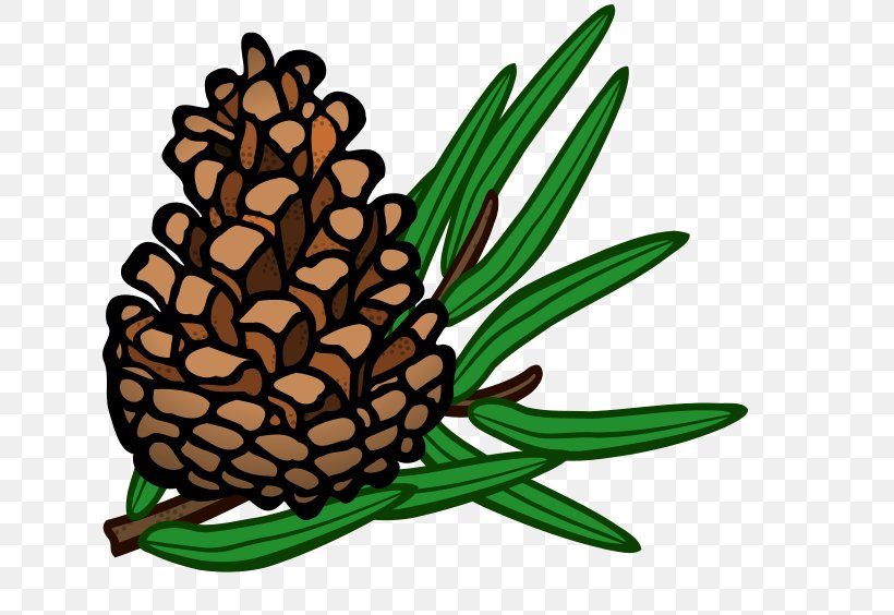 Conifer Cone Pine Clip Art, PNG, 640x564px, Conifer Cone, Ananas, Artwork, Color, Commodity Download Free