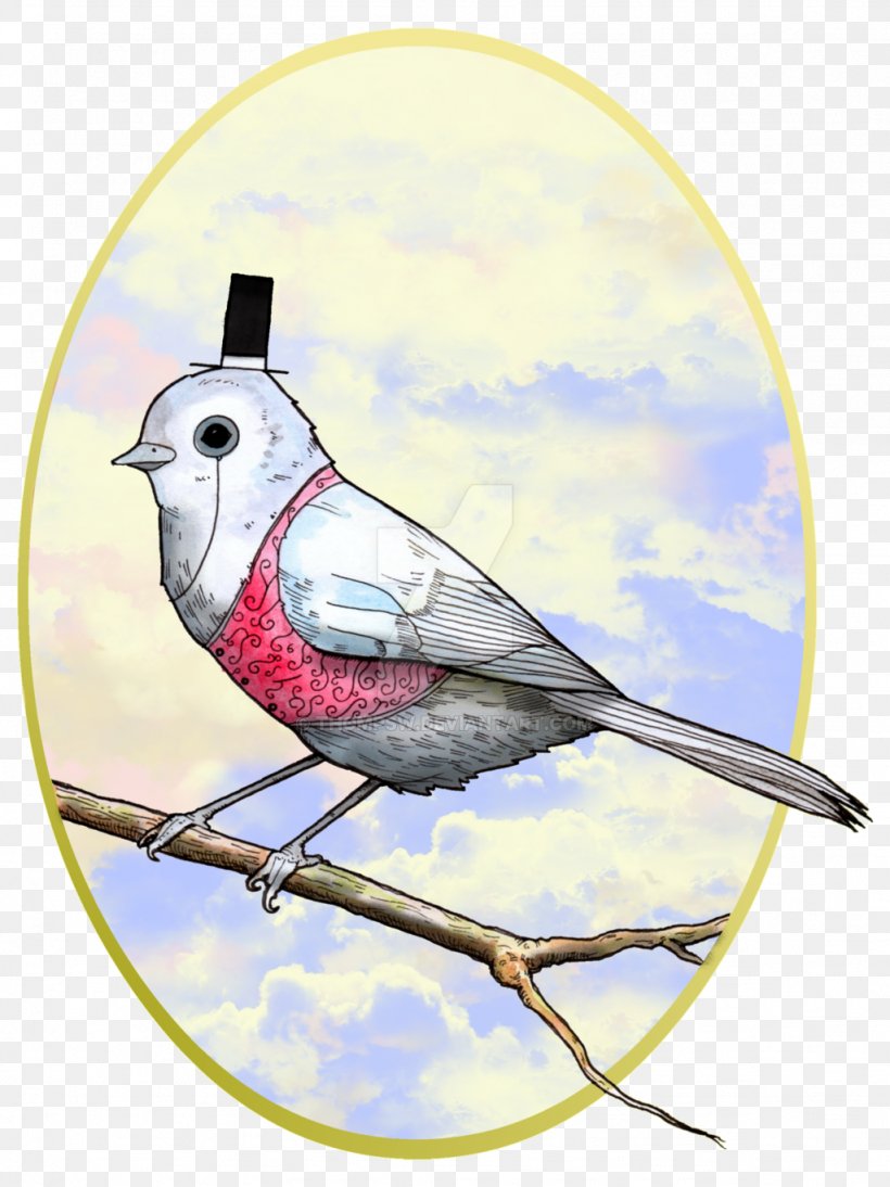 Finch Beak Chickadee Feather, PNG, 1024x1367px, Finch, Beak, Bird, Branch, Chickadee Download Free