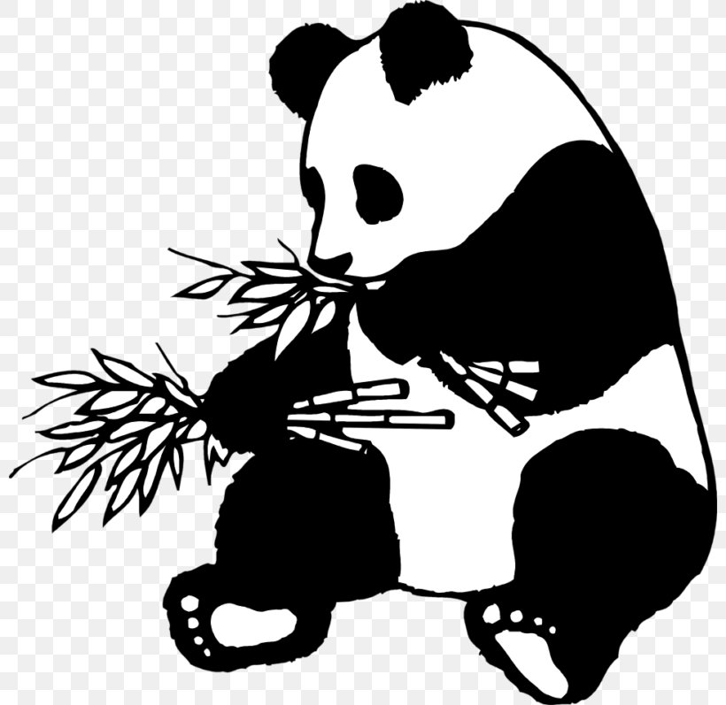 Giant Panda Drawing Line Art Bear Clip Art, PNG, 800x797px, Giant Panda, Art, Artwork, Bear, Black Download Free