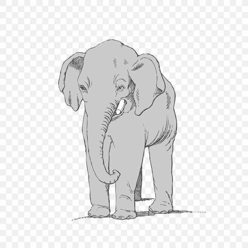 Indian Elephant, PNG, 1920x1920px, Elephant, African Elephant, Drawing, Indian Elephant, Line Art Download Free