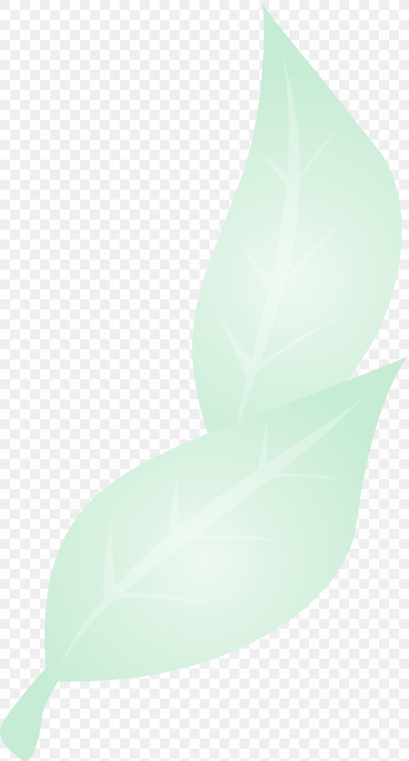 Leaf Green Plants Plant Structure Biology, PNG, 1613x3000px, Watercolor, Biology, Green, Leaf, Paint Download Free
