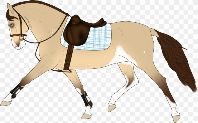 Mule English Riding Bridle Pony Saddle, PNG, 1024x634px, Mule, Bit, Bridle, Colt, Drawing Download Free