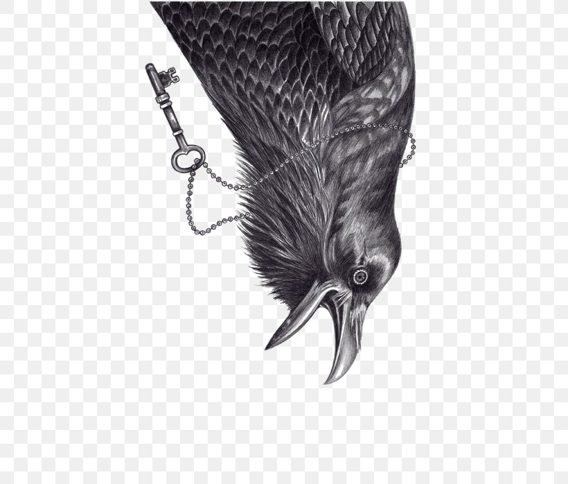 Rook The Raven Common Raven Bird, PNG, 465x698px, Rook, Animal, Art, Beak, Bird Download Free