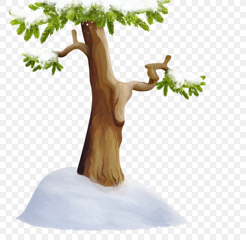 Tree Snow Wood, PNG, 800x800px, Tree, Arborvitae, Branch, Centerblog, Figurine Download Free
